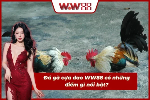 Thông tin nổi bật về hình thức đá gà cựa dao WW88