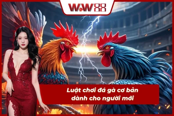 Hiểu rõ quy định trước khi tham gia cá cược tại WW88