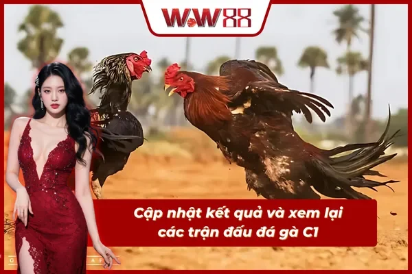 Cập nhật mọi kết quả và xem lại trận đá gà C1